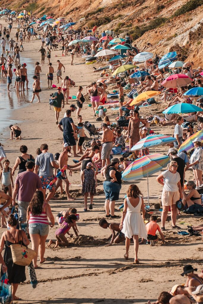 Plajda aile